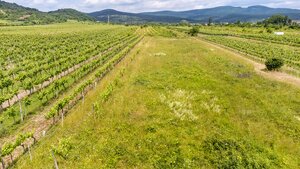 Pozemok v Pezinku s výmerou až 5190 m2 — foto 2