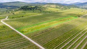 Pozemok v Pezinku s výmerou až 5190 m2 — foto 4