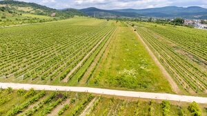 Pozemok v Pezinku s výmerou až 5190 m2 — foto 5