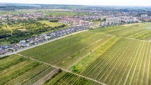 Pozemok v Pezinku s výmerou až 5190 m2 — foto 6