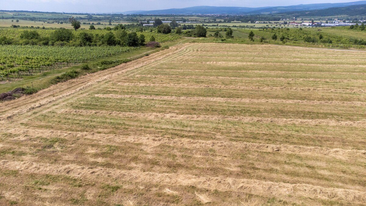 Na predaj zaujímavý pozemok v Modre s výmerou 6419 m2 — foto 5