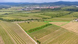 Na predaj zaujímavý pozemok v Modre s výmerou 6419 m2 — foto 1