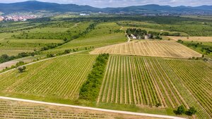 Na predaj zaujímavý pozemok v Modre s výmerou 6419 m2 — foto 4