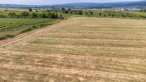 Na predaj zaujímavý pozemok v Modre s výmerou 6419 m2 — foto 5