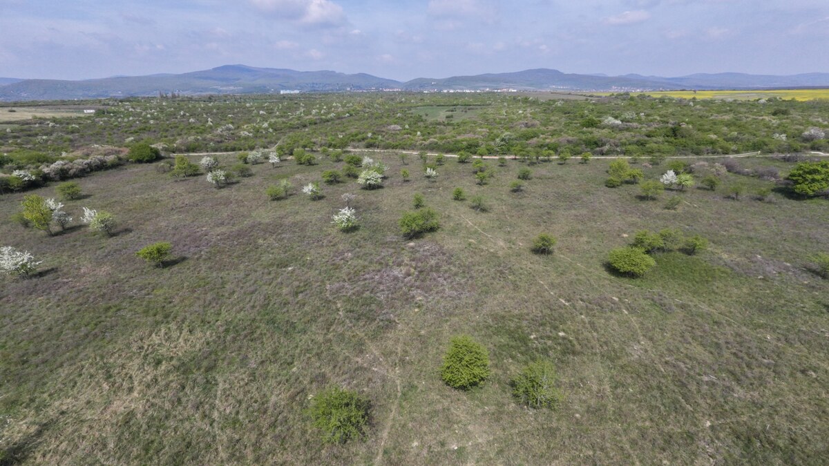 Pozemok v Modre s výmerou až 58.977 m2
