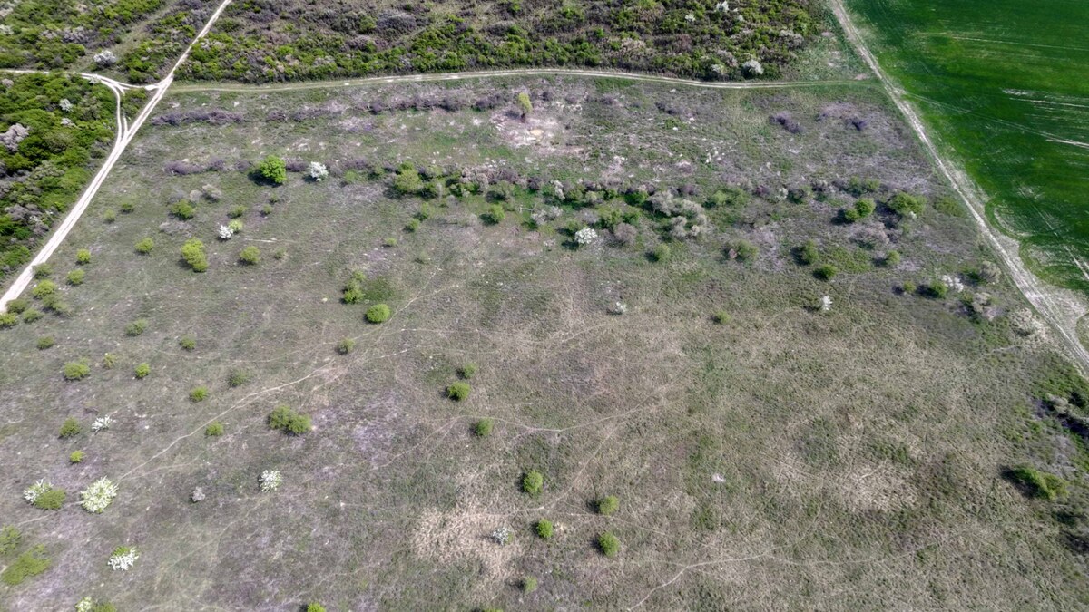 Pozemok v Modre s výmerou až 58.977 m2 — foto 3