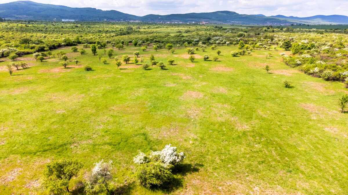 Pozemok v Modre s výmerou až 58.977 m2 — foto 5