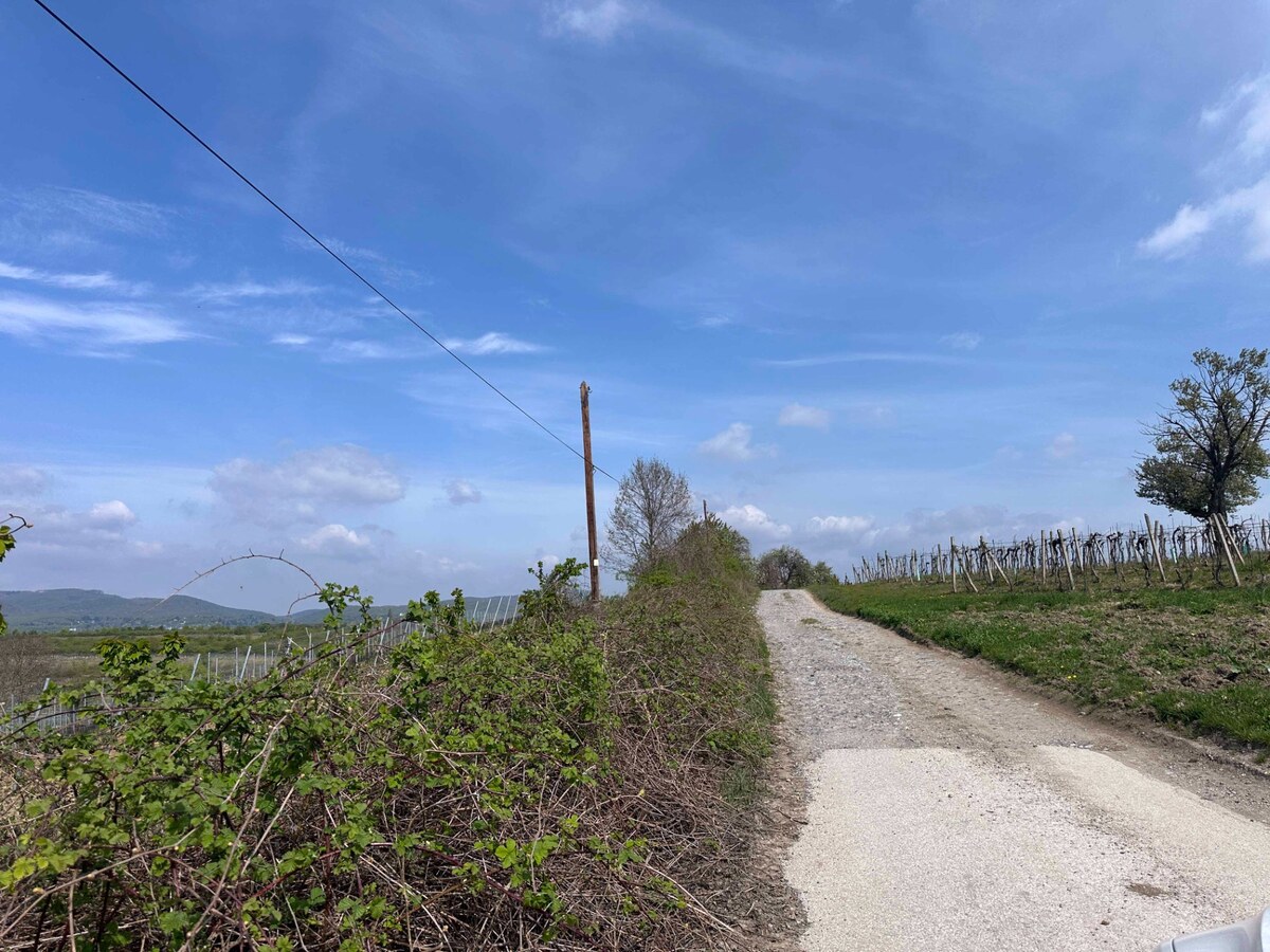Pozemok v Modre s výmerou až 58.977 m2 — foto 8