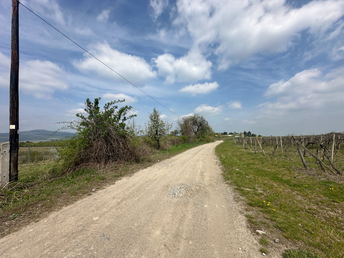 Pozemok v Modre s výmerou až 58.977 m2 — foto 9