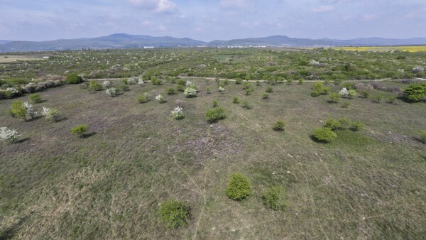 Pozemok v Modre s výmerou až 58.977 m2