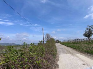 Pozemok v Modre s výmerou až 58.977 m2 — foto 8