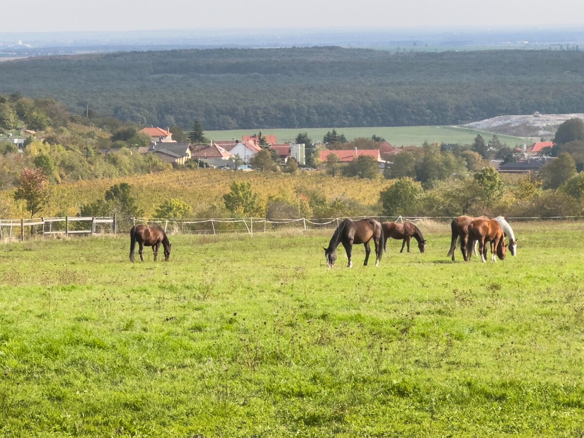 Krásny pozemok s potenciálom — foto 8