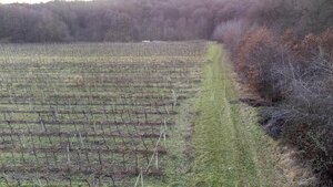Krásny pozemok s potenciálom — foto 3