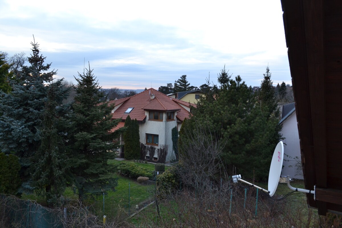Viacgeneračný rodinný dom / investičná nehnuteľnosť – Dolná časť Zobor — foto 20