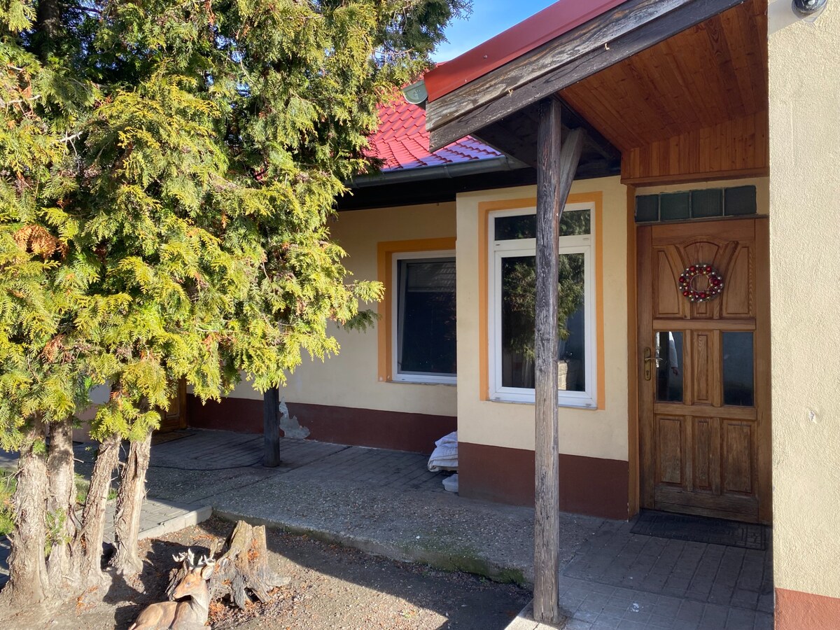 Real - H,s.r.o. ponúka na predaj rodinný dom Dunajská Streda — foto 5