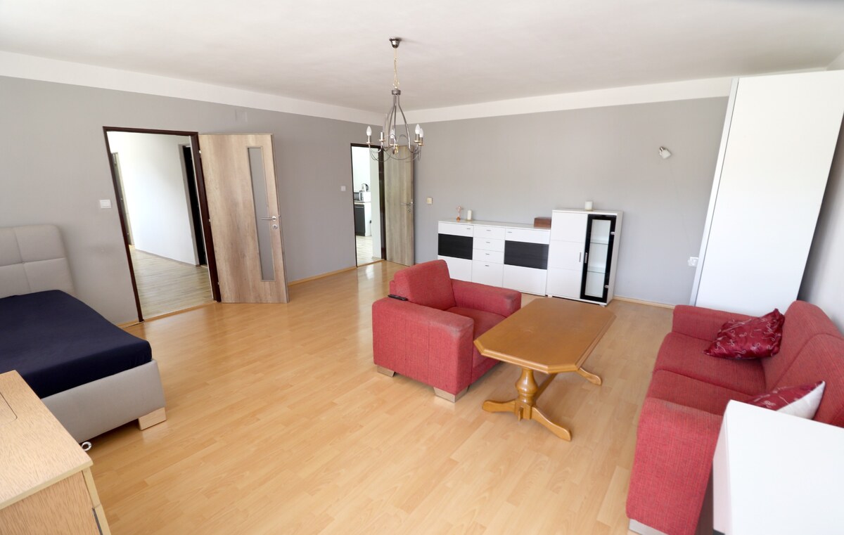 PREDAJ: 5+2 izbový rodinný dom, Dolný Lopašov — foto 11