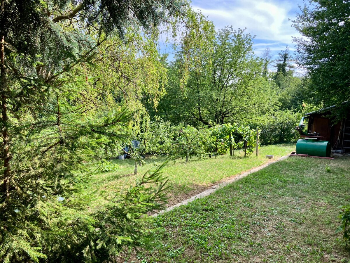 Krásna chatka na Bacchus Vile pri Piešťanoch — foto 14
