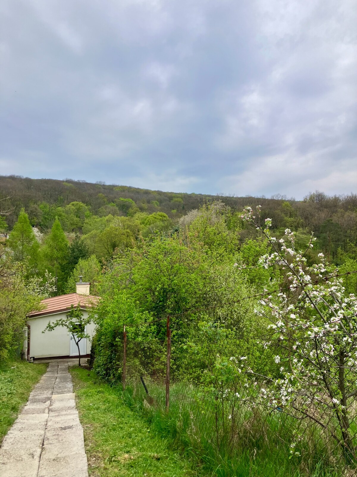 Krásna chatka na Bacchus Vile pri Piešťanoch — foto 15