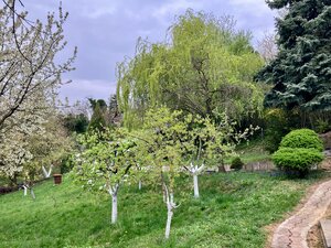 Krásna chatka na Bacchus Vile pri Piešťanoch — foto 13