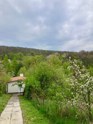 Krásna chatka na Bacchus Vile pri Piešťanoch — foto 15