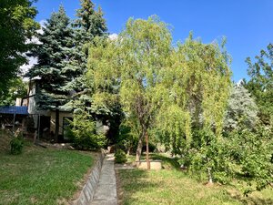 Krásna chatka na Bacchus Vile pri Piešťanoch — foto 17
