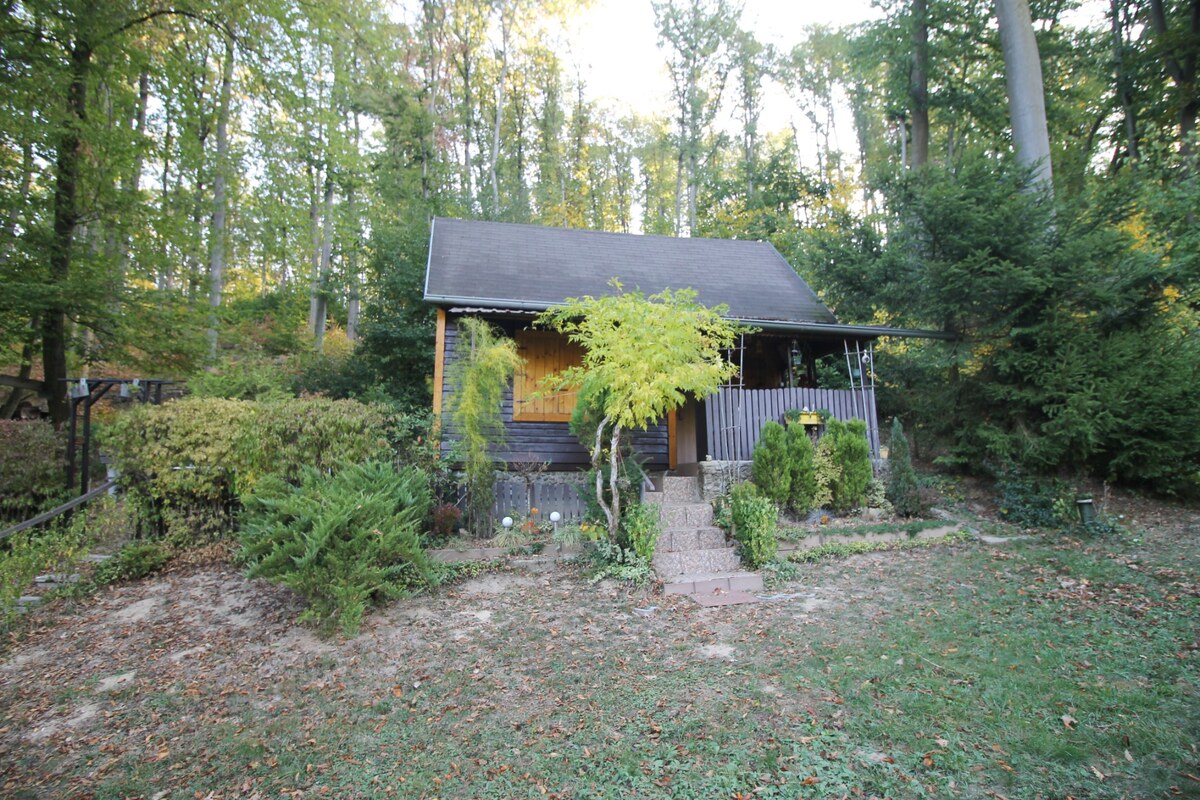 NEW LIVING - rekreačná chata na Prašníku v krásnom prostredí — foto 2