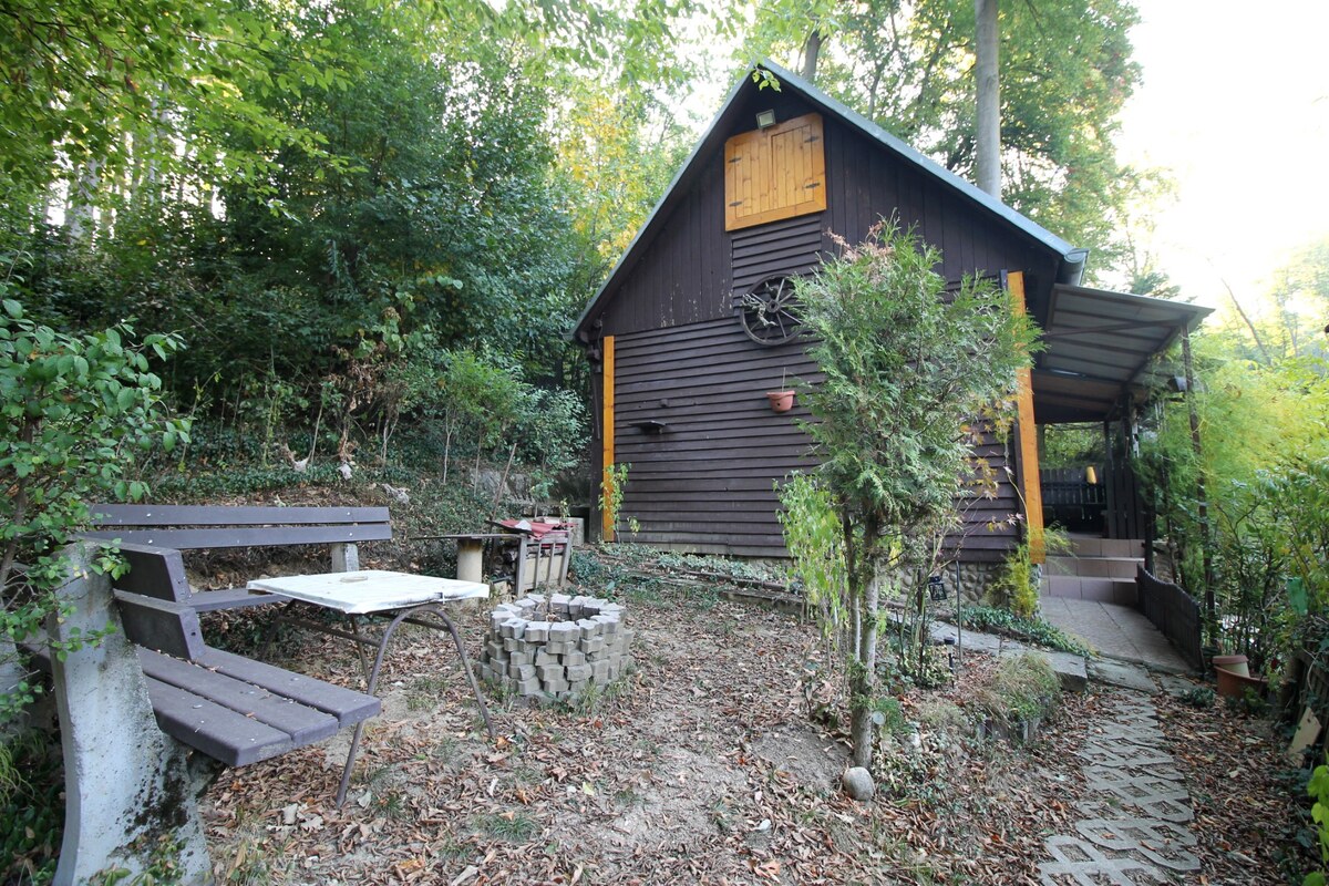 NEW LIVING - rekreačná chata na Prašníku v krásnom prostredí — foto 5