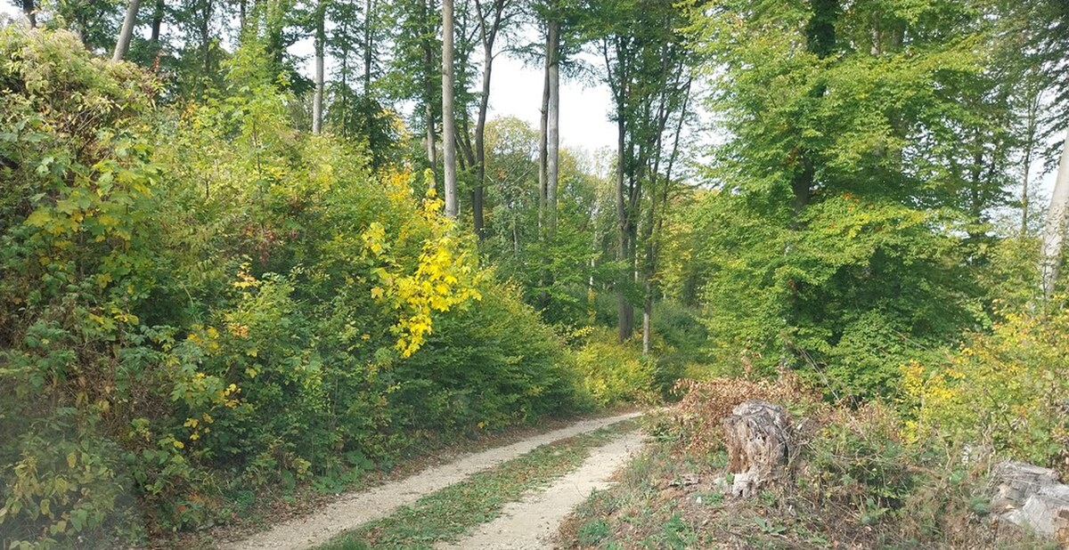NEW LIVING - rekreačná chata na Prašníku v krásnom prostredí — foto 7