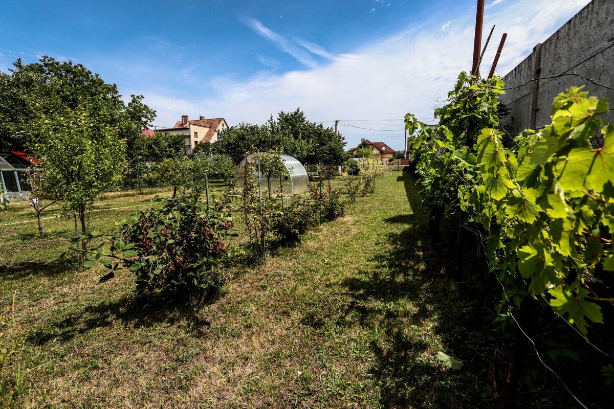 Na predaj stavebný pozemok v obci Horná Streda — foto 9