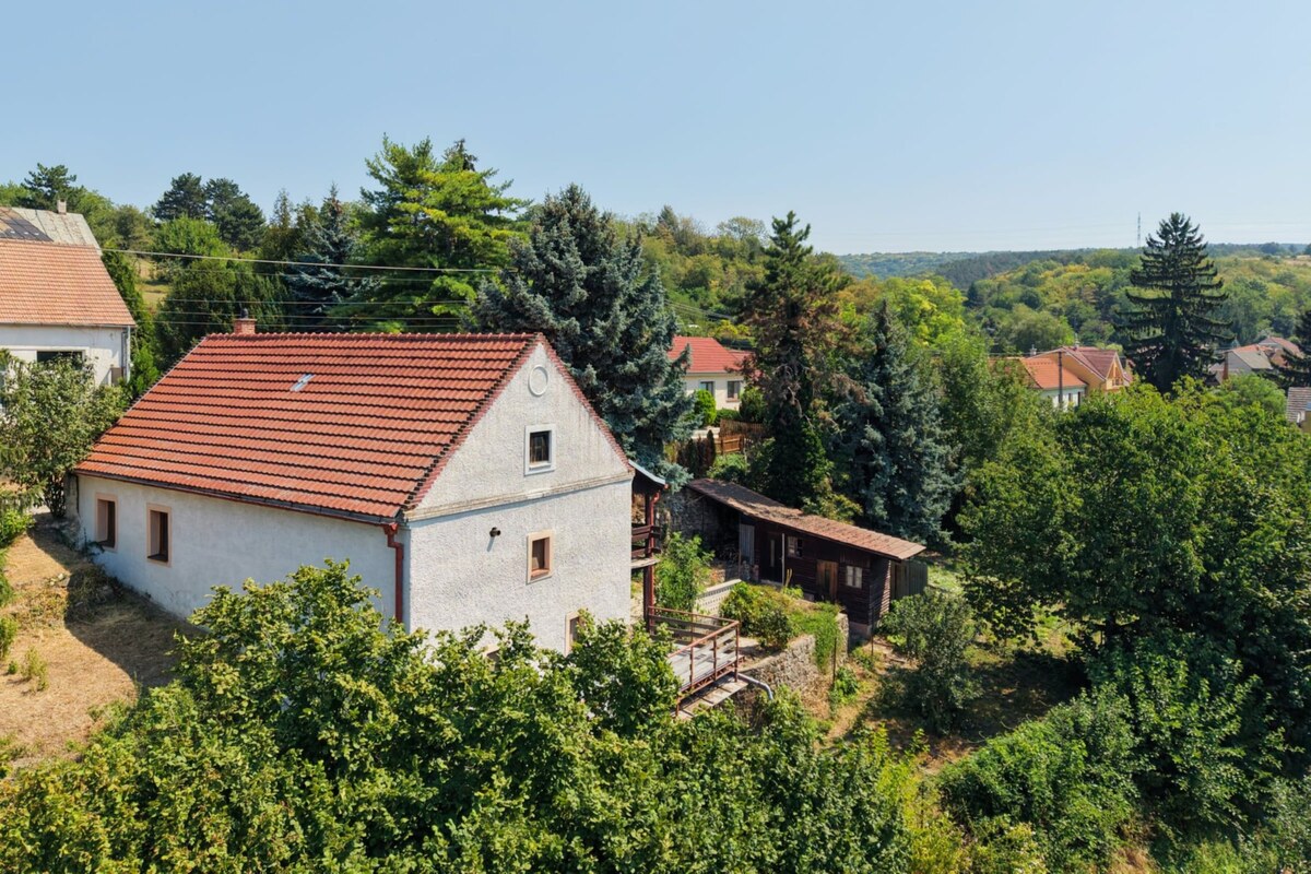 EXKLUZIVNE - RD z historického mlynu, Ratnovce — foto 3