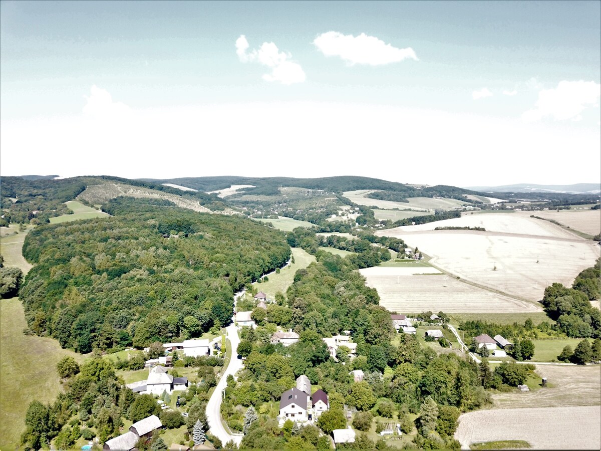 Na predaj stavebný pozemok v obci Prašník, vzdialený 14km od Piešťan — foto 11