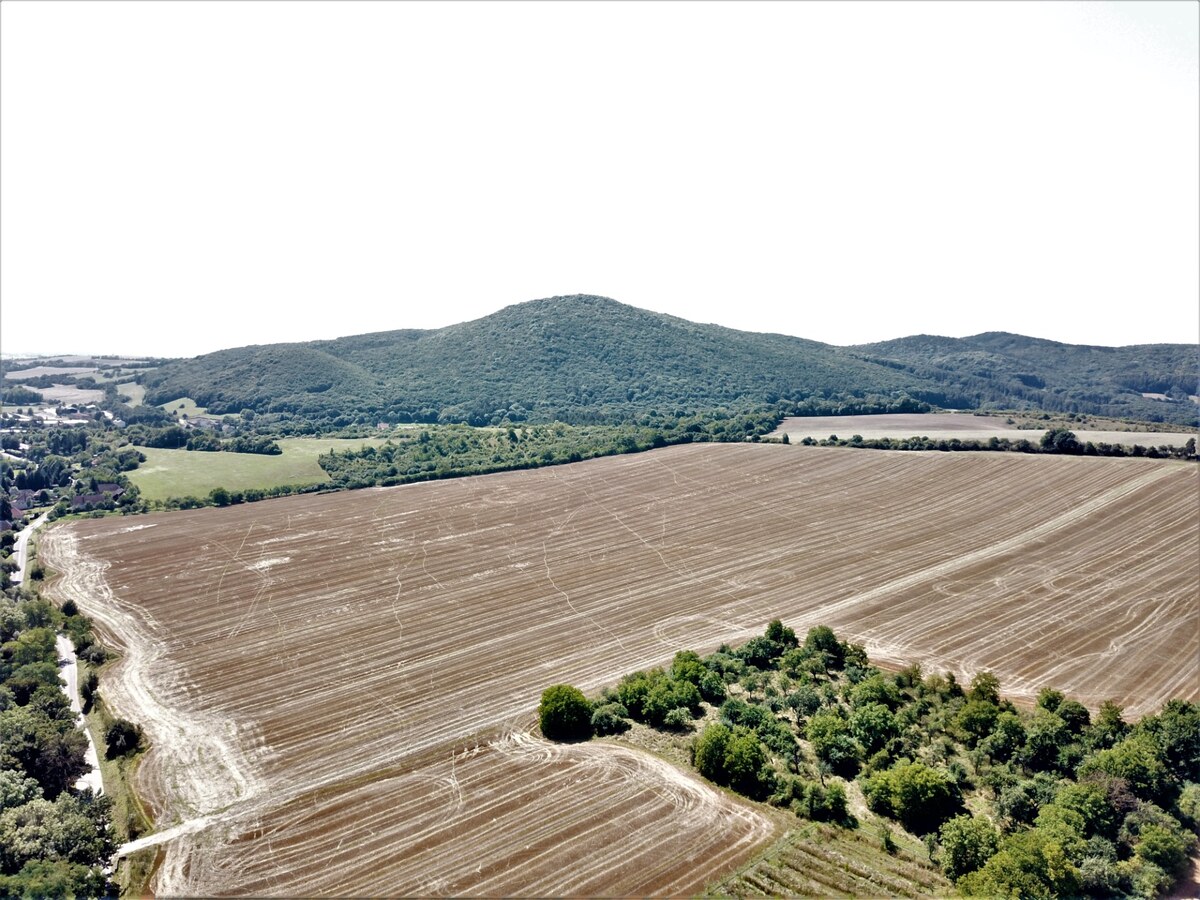 Na predaj stavebný pozemok v obci Prašník, vzdialený 14km od Piešťan — foto 12
