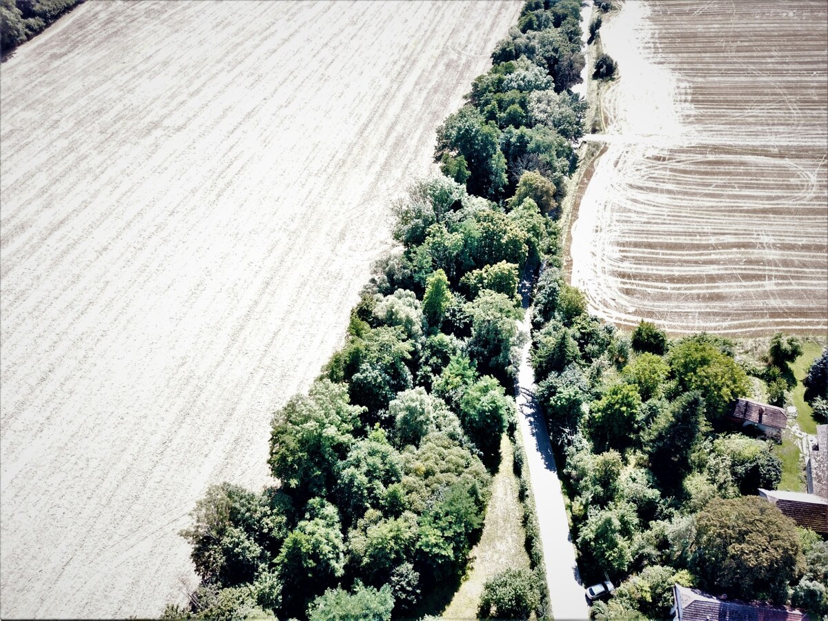 Na predaj stavebný pozemok v obci Prašník, vzdialený 14km od Piešťan — foto 13