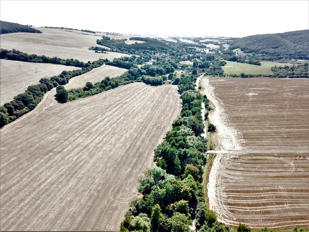 Na predaj stavebný pozemok v obci Prašník, vzdialený 14km od Piešťan — foto 14