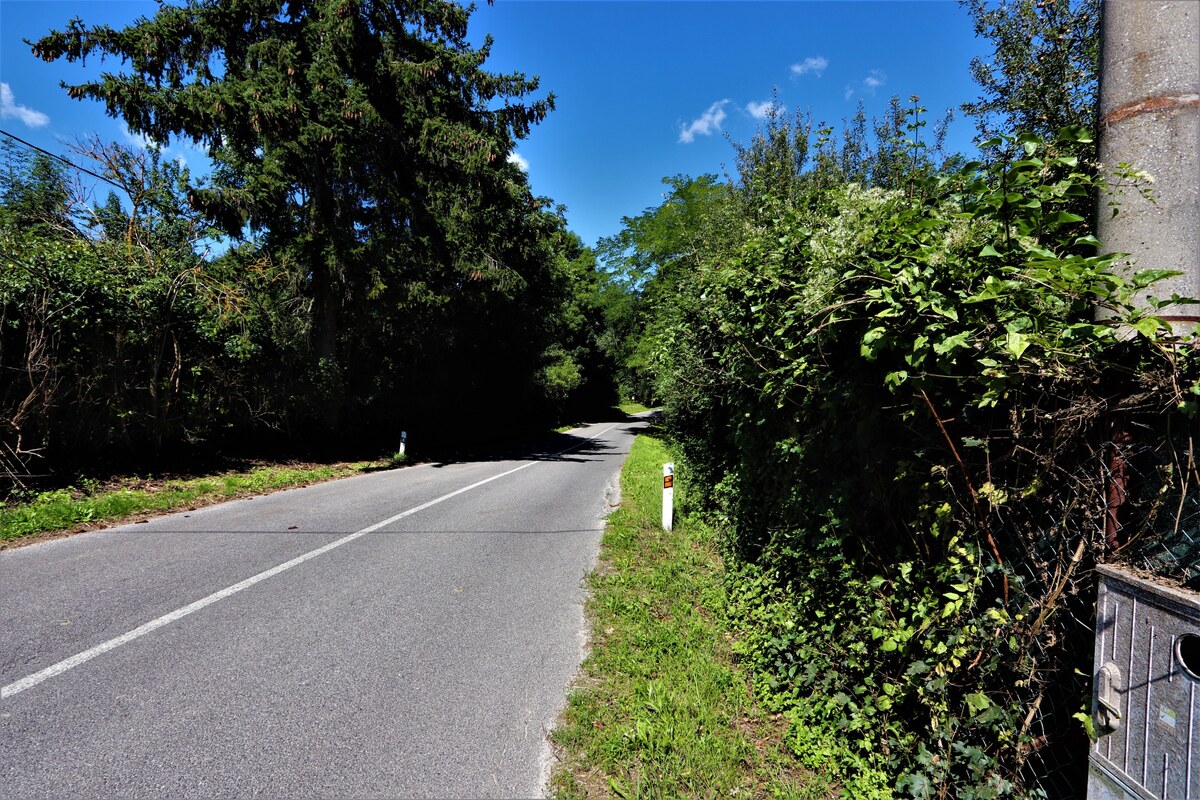 Na predaj stavebný pozemok v obci Prašník, vzdialený 14km od Piešťan — foto 17