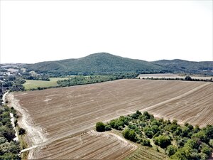 Na predaj stavebný pozemok v obci Prašník, vzdialený 14km od Piešťan — foto 12