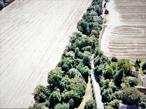 Na predaj stavebný pozemok v obci Prašník, vzdialený 14km od Piešťan — foto 13