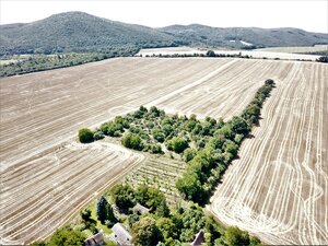 Na predaj stavebný pozemok v obci Prašník, vzdialený 14km od Piešťan — foto 15