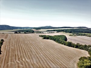 Na predaj stavebný pozemok v obci Prašník, vzdialený 14km od Piešťan — foto 16