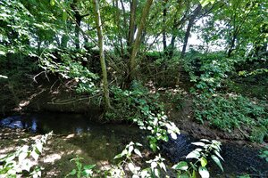 Na predaj stavebný pozemok v obci Prašník, vzdialený 14km od Piešťan — foto 4