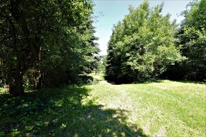 Na predaj stavebný pozemok v obci Prašník, vzdialený 14km od Piešťan — foto 6
