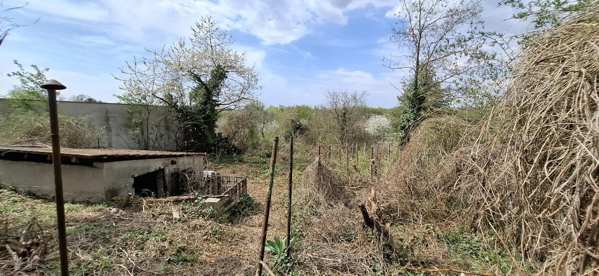 Starší rodinný dom s veľkým pozemkom, Devínska Nová Ves — foto 6
