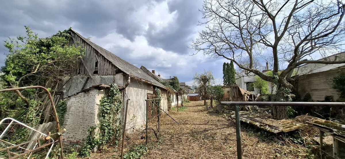 Starší rodinný dom s veľkým pozemkom, Devínska Nová Ves — foto 7