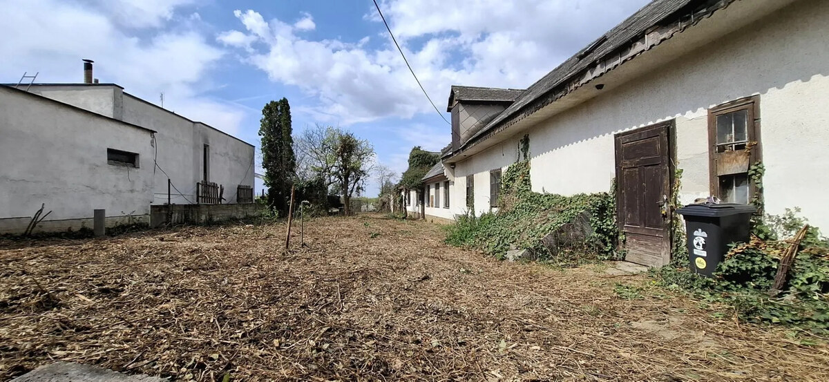 Starší rodinný dom s veľkým pozemkom, Devínska Nová Ves — foto 8