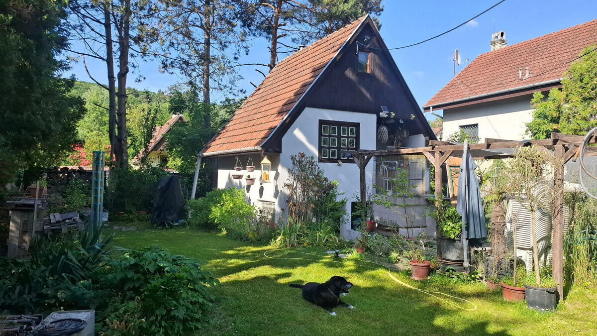 záhradná chata so záhradou, Devínska cesta, Devín — foto 13