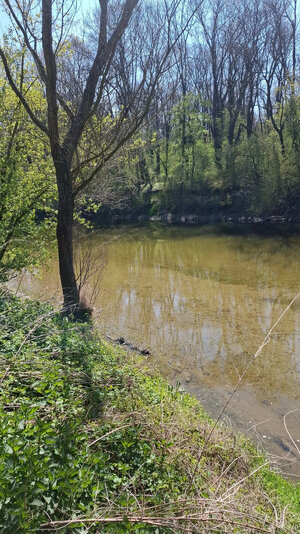 záhradná chata so záhradou, Devínska cesta, Devín — foto 16