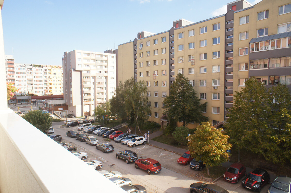 3-izb. byt, Pribišova ul., Karlova Ves, 3.p./8, 2 x lodžia — foto 18