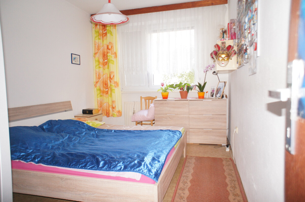 3-izb. byt, Pribišova ul., Karlova Ves, 3.p./8, 2 x lodžia — foto 4