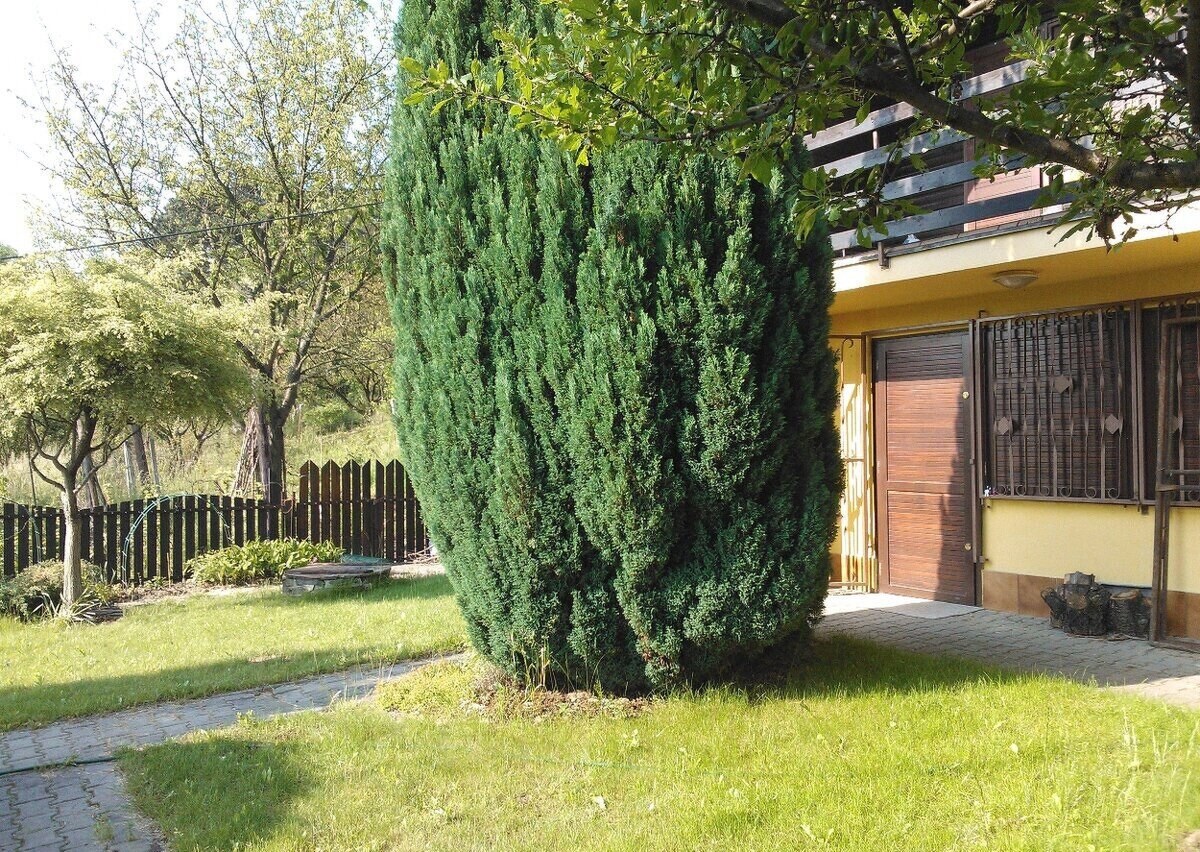 Rekreačná chata s výhľadom na Líščie údolie a Yuventu, Karlová Ves — foto 3