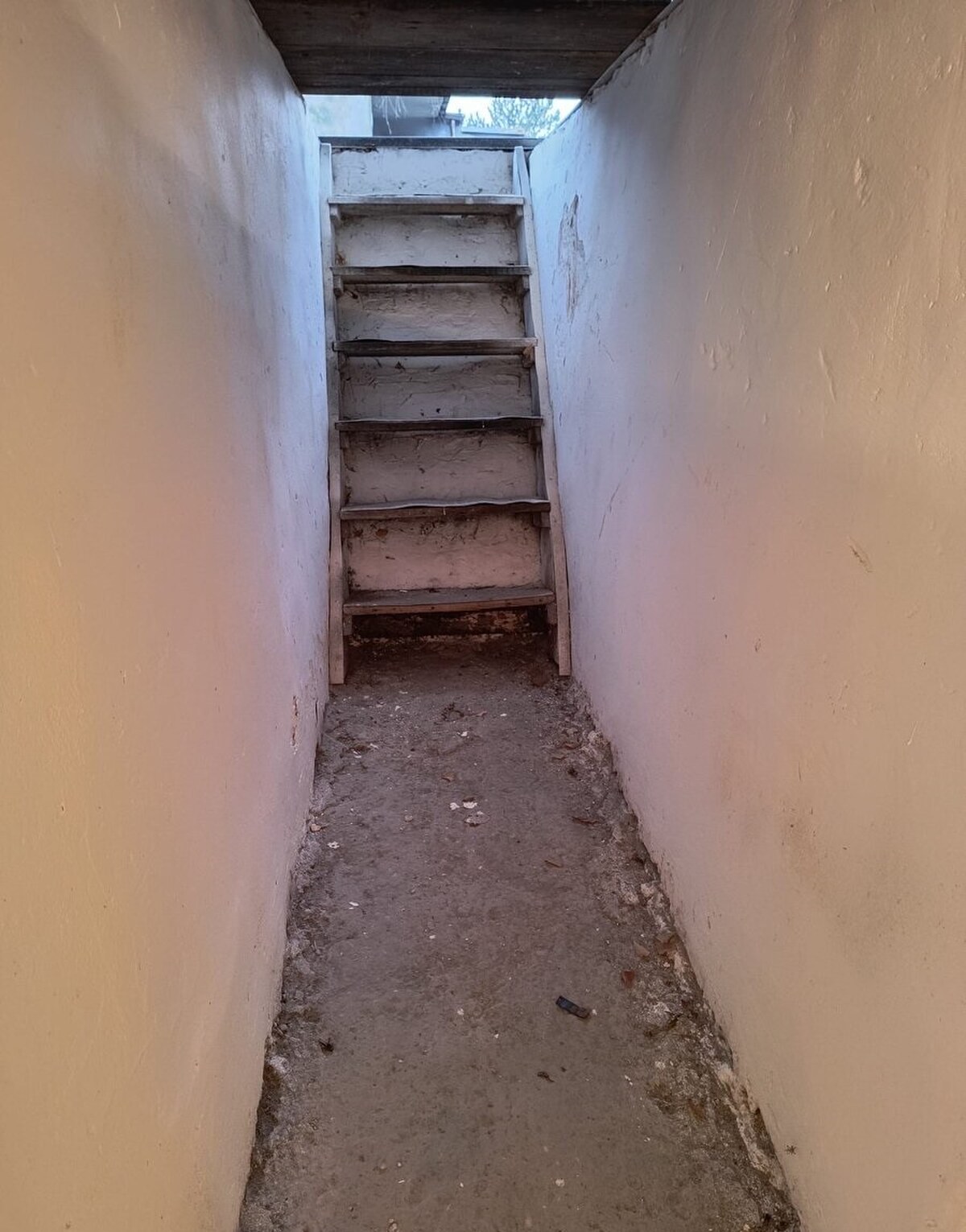 garáž Púpavova, Karlova Ves + pivnica — foto 8